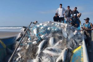 FESTA DOS PESCADORES CAPA