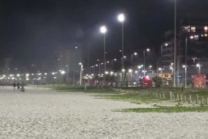 Equipados com placas fotovoltaicas, as estruturas utilizam a luz do sol para gerar parte da própria energia que consomem.