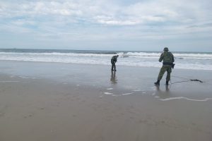IMG-20260707-WA0073