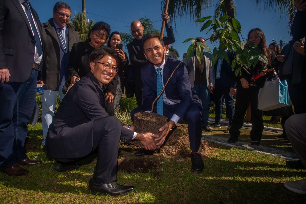 JAPAO EM PARANAGUA – Foto Moyses Zanardo (1)