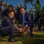 JAPAO EM PARANAGUA – Foto Moyses Zanardo (1)