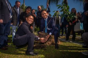 JAPAO EM PARANAGUA – Foto Moyses Zanardo (1)