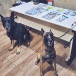Polícia Militar Tráfico de Drogas 1