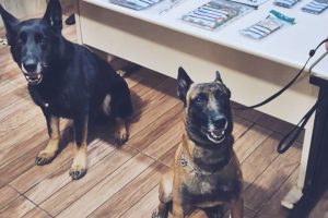 Polícia Militar Tráfico de Drogas 1