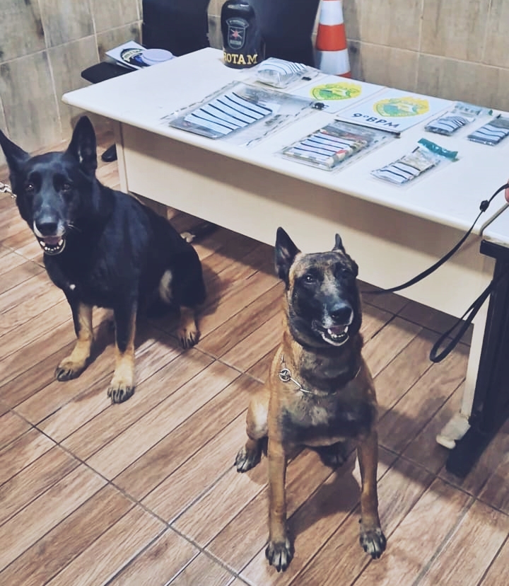 Polícia Militar Tráfico de Drogas 1