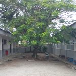 colegio sully pontal do parana foto divulgacao (1)