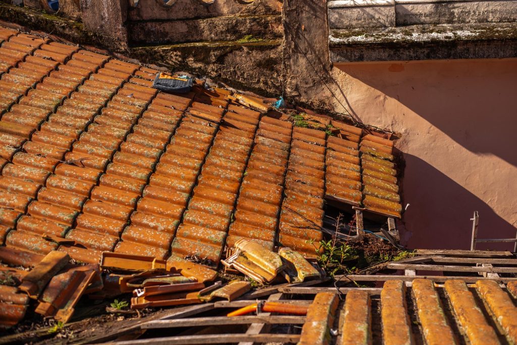 mercado café foto moyses zanardo pref de paranagua1